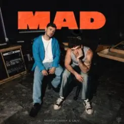 Martin Garrix & Lauv - MAD (Dj Vianu Remix) слушать онлайн