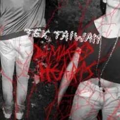 Tex Taiwan - Quick Attack слушать онлайн