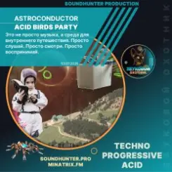 Astroconductor - Acid Birds Party слушать онлайн