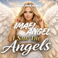 Imael Angel - I Saw The Angels (DRoN TRuE Remix) слушать онлайн