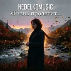 NEDELKOMUSIC - Жизнь пролетит... слушать онлайн